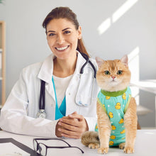 Avont Katzenbody postoperative Erholung Modal Suit Katzen