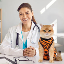 Katzenbody Erholungsanzug Kastration Spay Hautkrankheiten