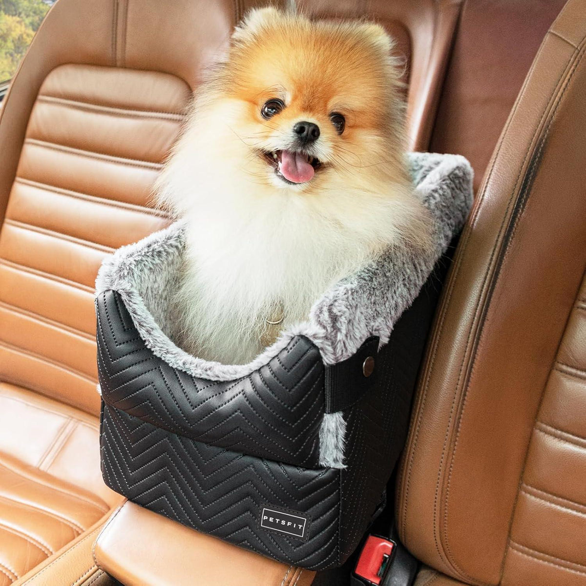 Hundesitz Mittelkonsole Auto für kleine Hunde bis 4kg
