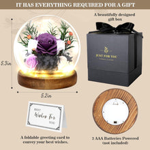 Ewige Rose im Glas mit Licht - 3 Infinity Rosen Geschenke