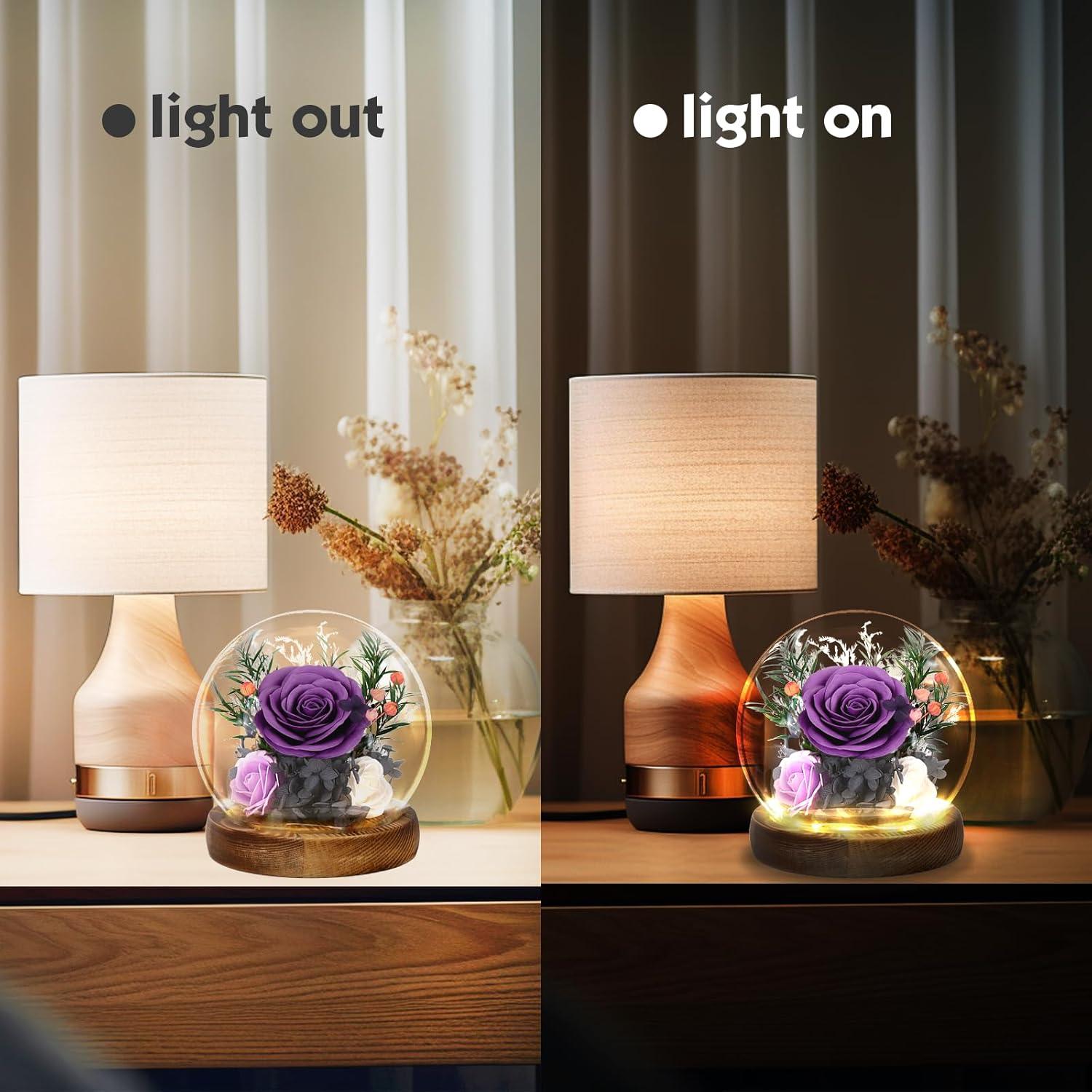Ewige Rose im Glas mit Licht, Infinity Rosen Geschenk für Frauen, LED