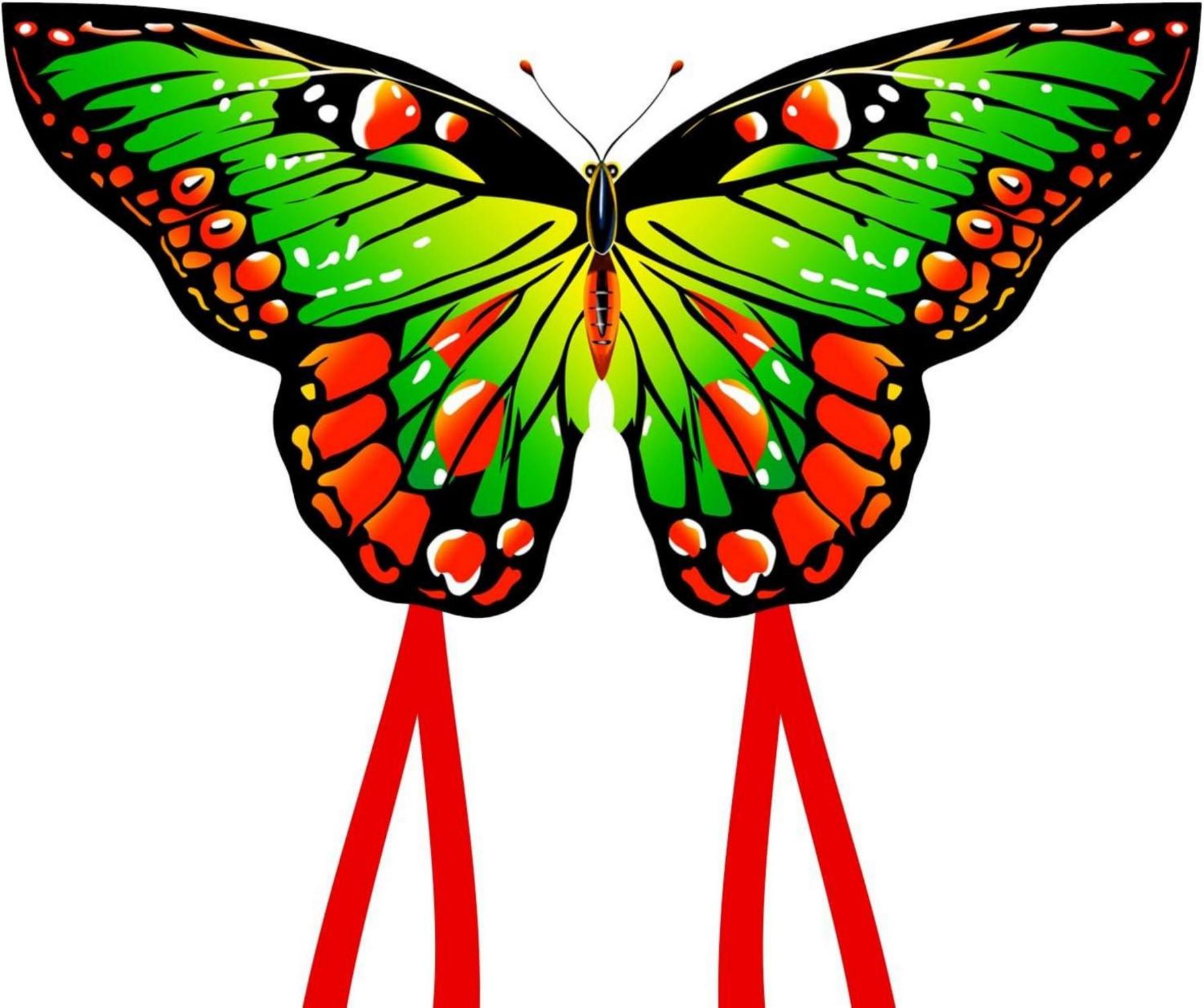 Schmetterling Drachenflieger für Kinder und Erwachsene 120x95cm