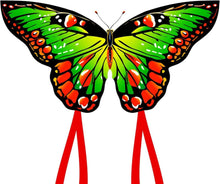 Schmetterling Drachenflieger für Kinder und Erwachsene 120x95cm