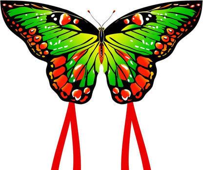 Schmetterling Drachenflieger für Kinder und Erwachsene 120x95cm