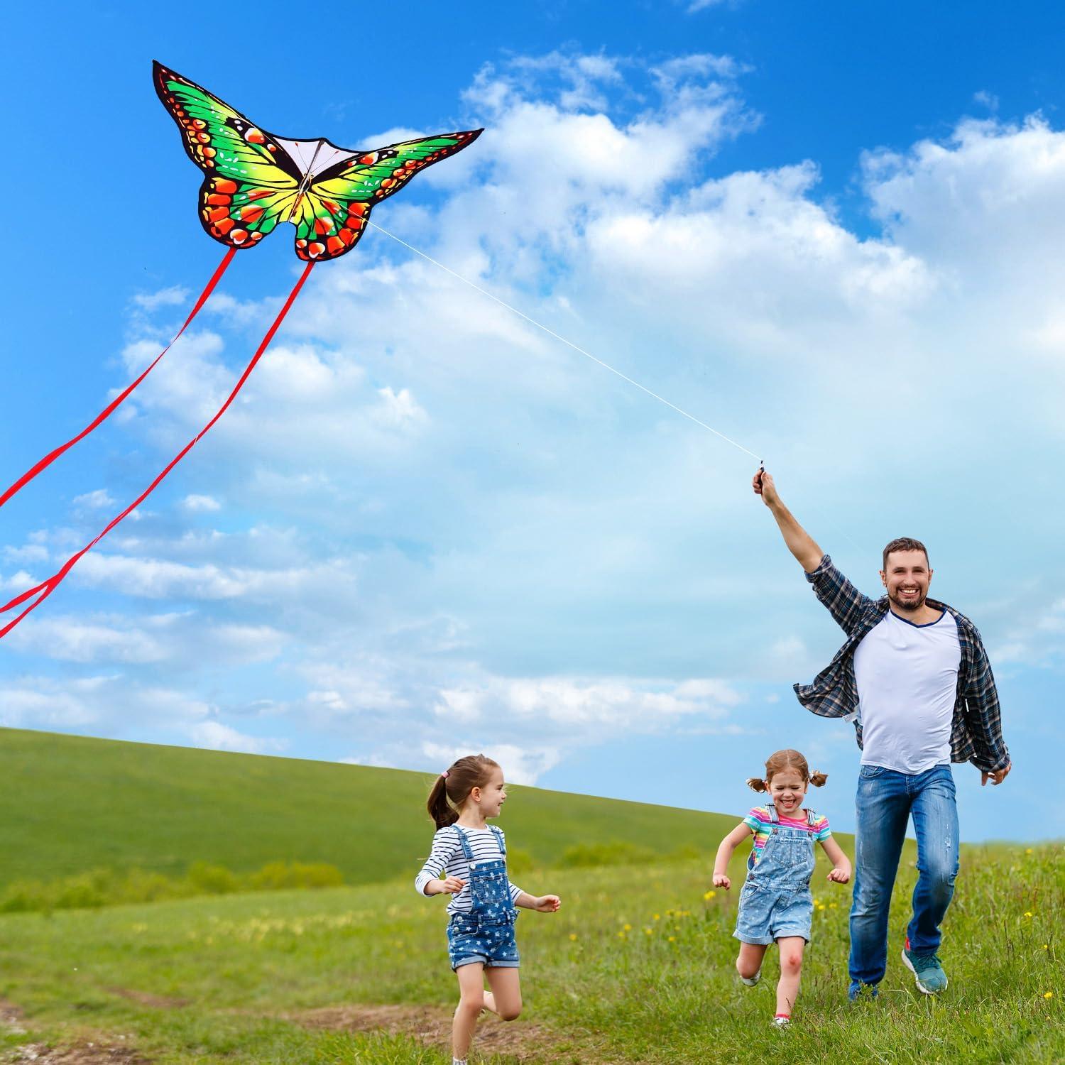 Schmetterling Drachenflieger für Kinder und Erwachsene 120x95cm