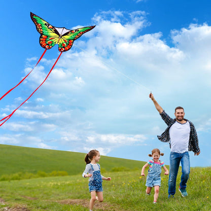Schmetterling Drachenflieger für Kinder und Erwachsene 120x95cm