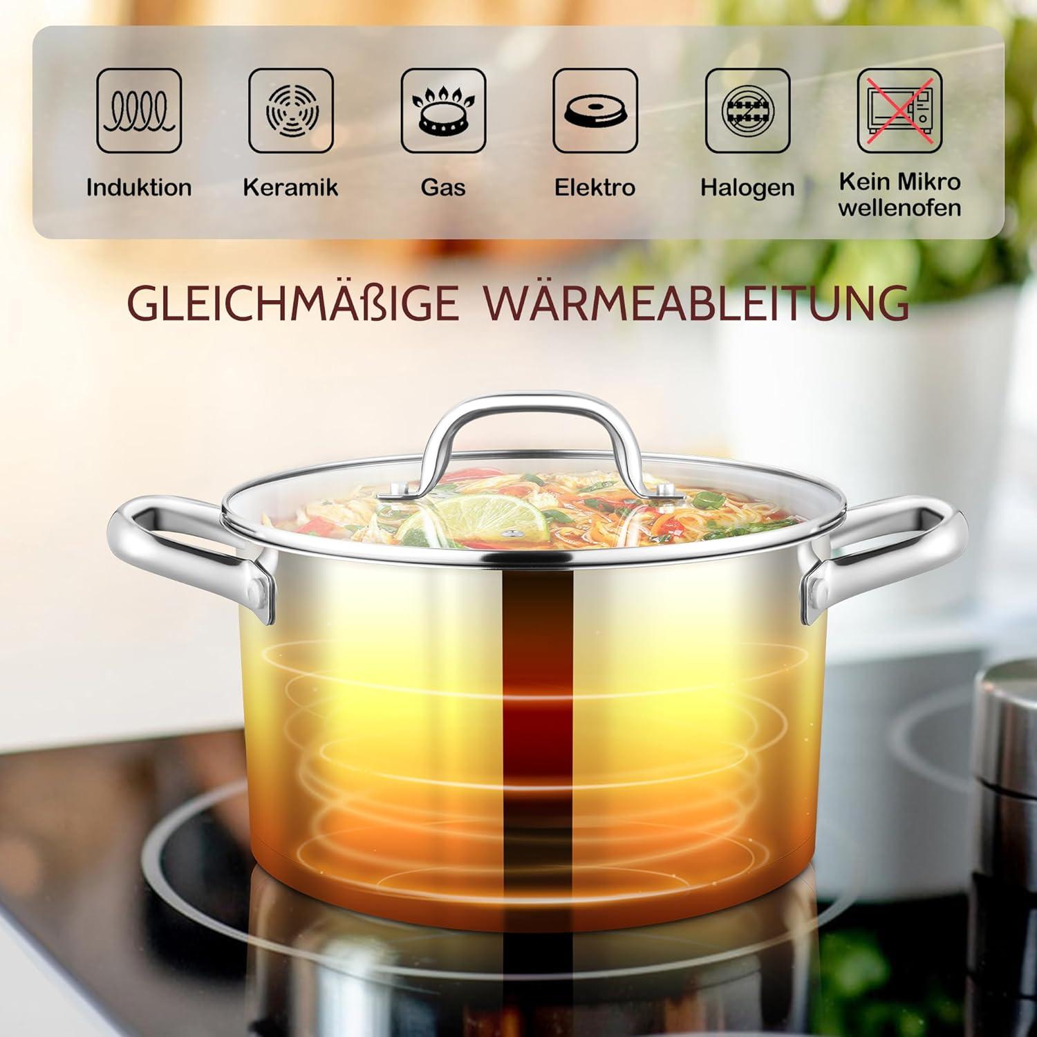 24cm Edelstahl Kochtopf mit Glasdeckel, 5,6L Induktionstauglicher