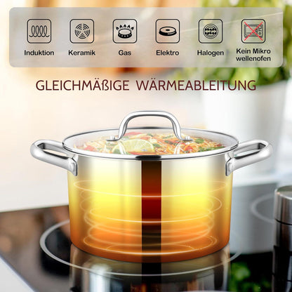 24cm Edelstahl Kochtopf mit Glasdeckel, 5,6L Induktionstauglicher