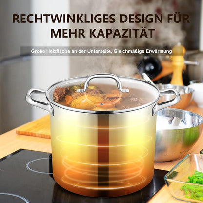 Joyfair 9,5 Liter Edelstahl Kochtopf mit Glasdeckel