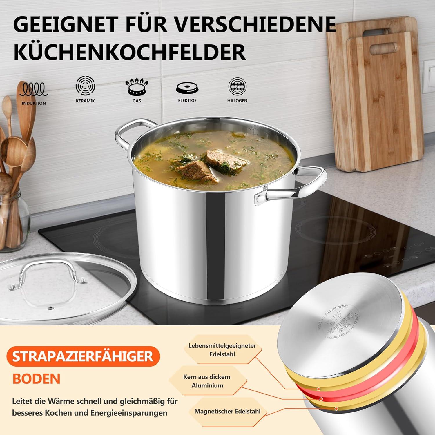 Edelstahl Kochtopf 9,5L Induktion Glasdeckel Suppentopf Joyfair