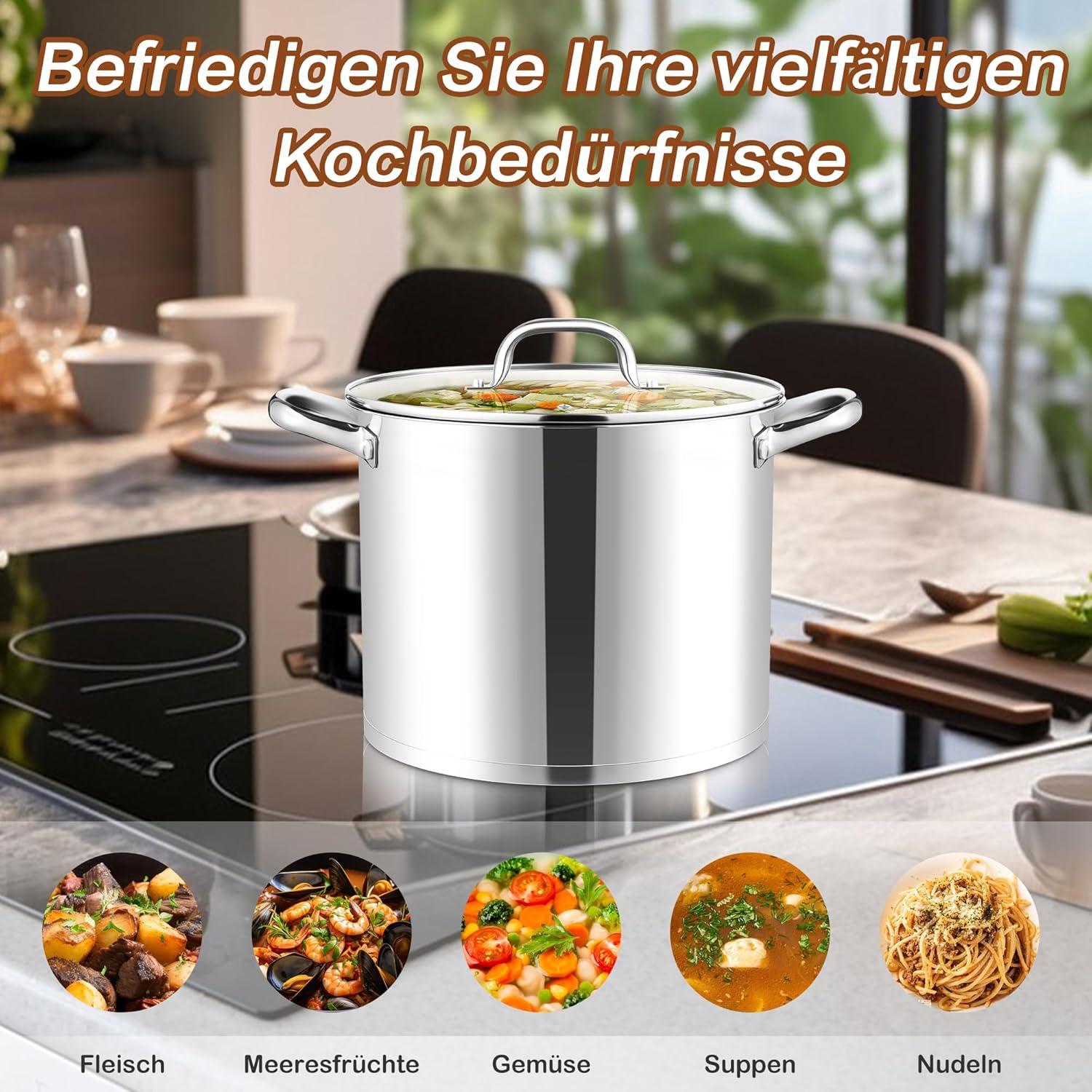 Edelstahl Kochtopf 9,5L Induktion Glasdeckel Suppentopf Joyfair