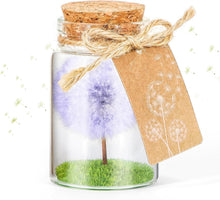 Echte Pusteblume im Glas mit Geschenkbox - Violett Blumen-Deko