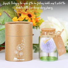 Pusteblume im Glas mit Geschenkbox & Wunscherfüller für