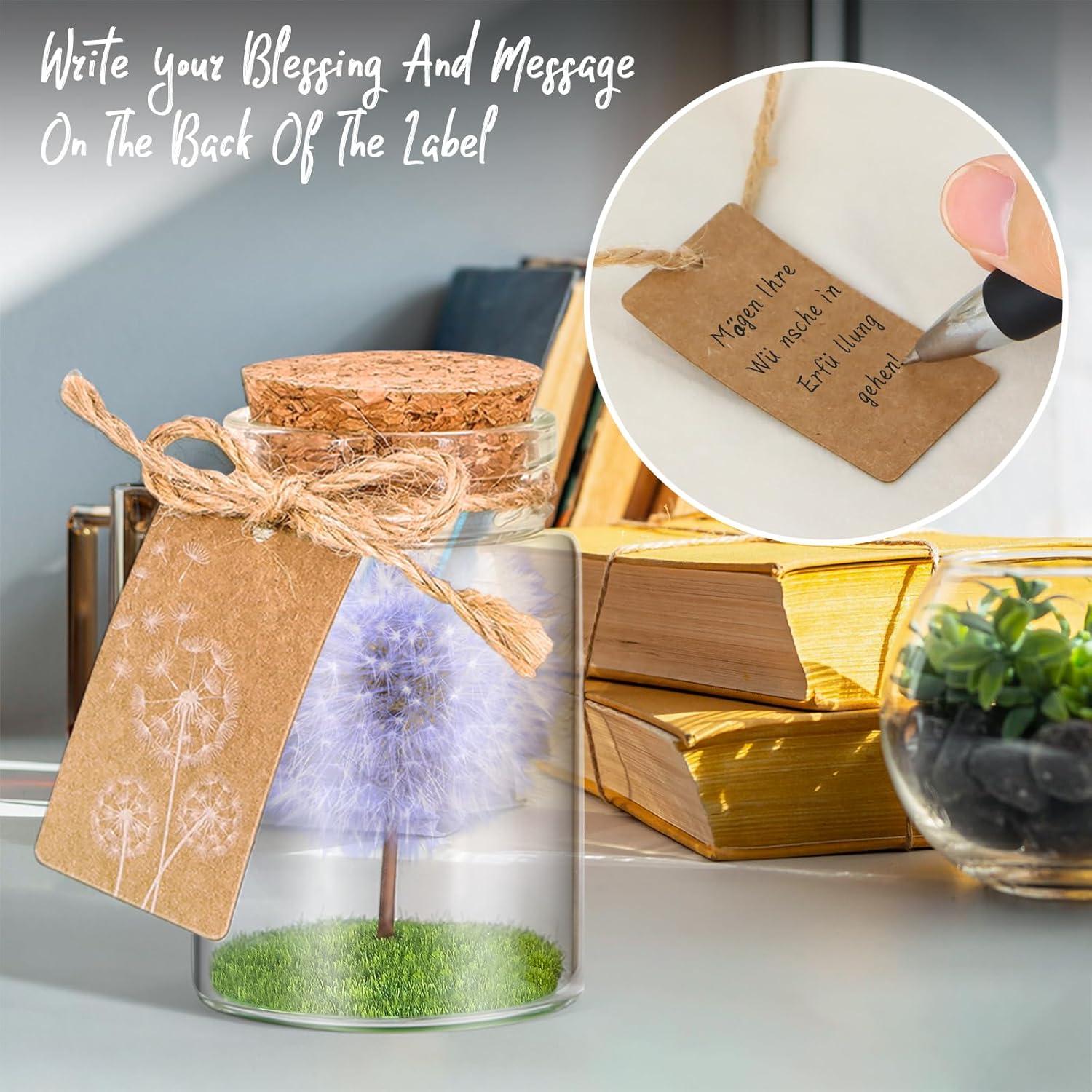Echte Pusteblume Wunscherfüller im Glas mit Geschenkbox - Handgemacht - Dekoration für Geburtstag, Hochzeit - Violett