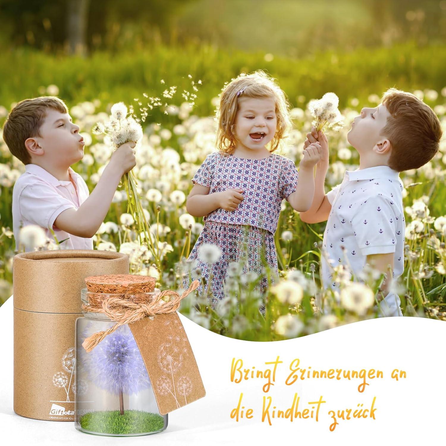 Echte Pusteblume im Glas mit Geschenkbox - Violettes Glücksbringer