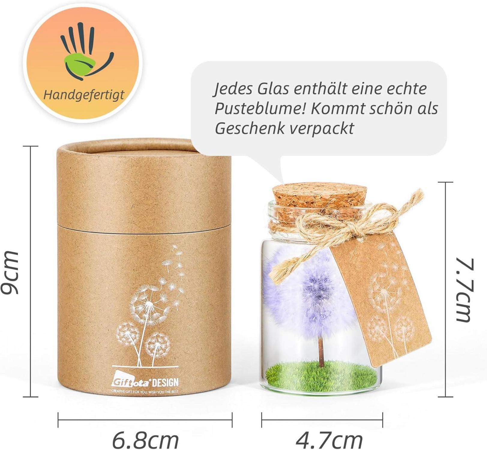 Echte Pusteblume im Glas mit Geschenkbox - Handgemachter Wunscherfüller