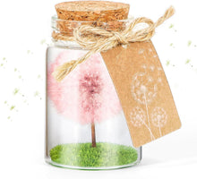 Echte Pusteblume im Glas mit Geschenkbox, Handgemacht