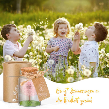 Echte Pusteblume im Glas mit Geschenkbox - Handgemachter