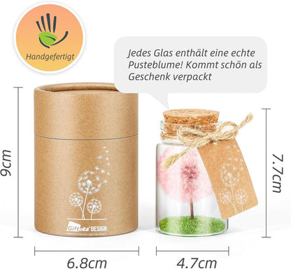 Echte Pusteblume im Glas mit Geschenkbox - Handgemacht - Rosa