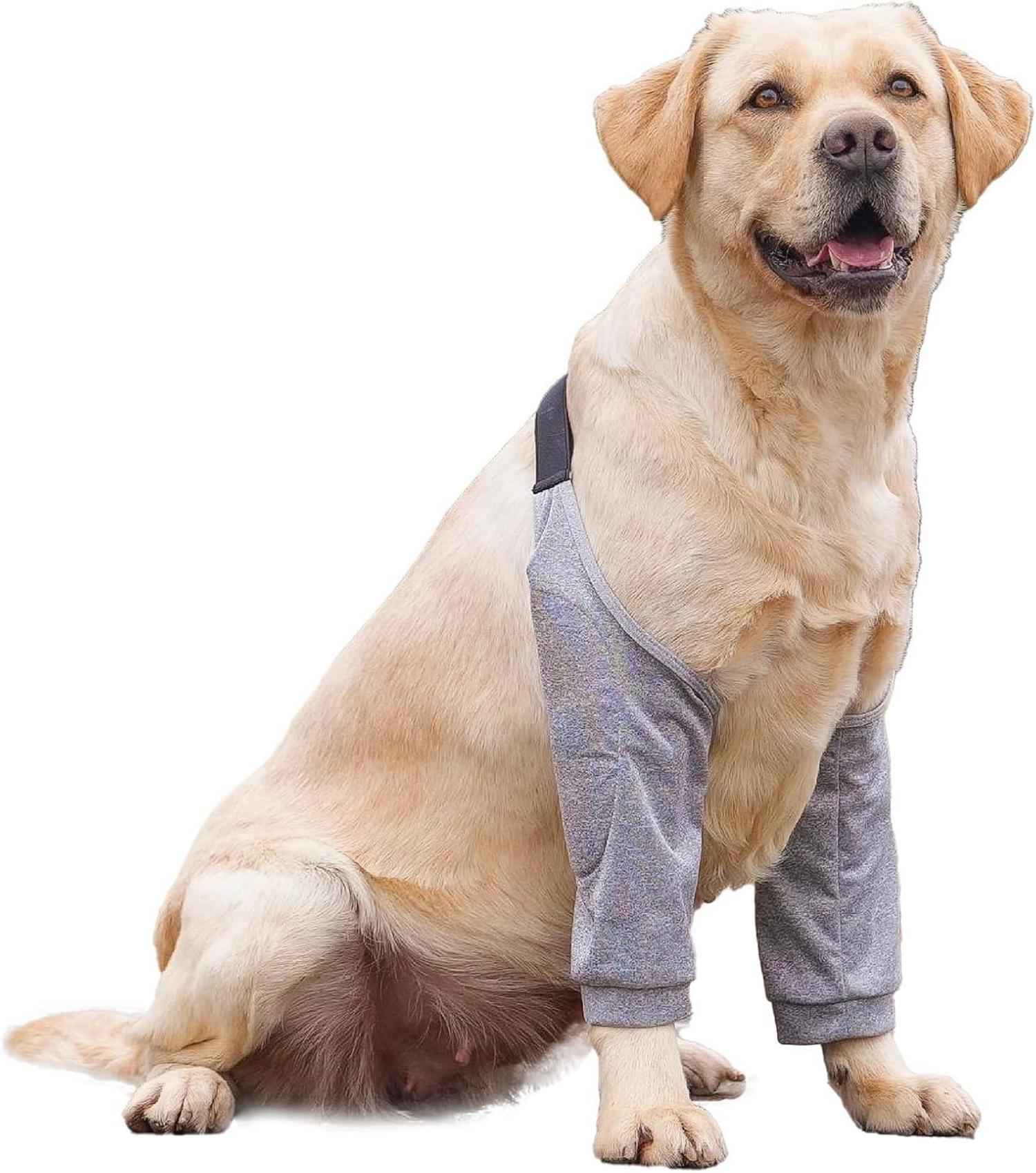 Ellenbogenbandage Hund Recovery Sleeve Vorderbein