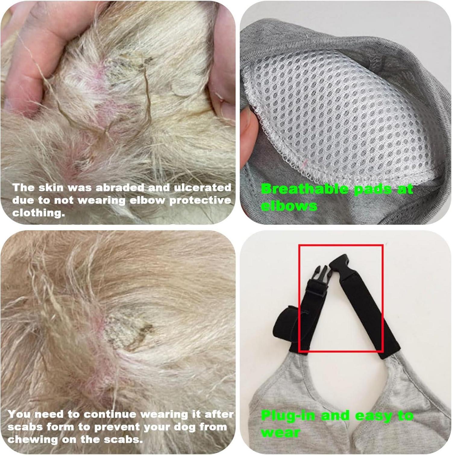 Ellenbogenbandage Hund Recovery Sleeve Vorderbein