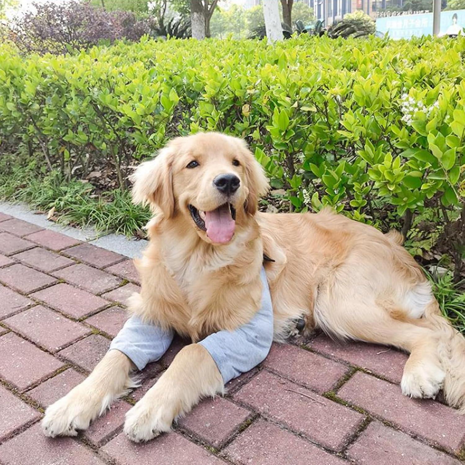 Hund Ellenbogenbandage Erholung Recovery Sleeve Vorderbeine Grau XXL