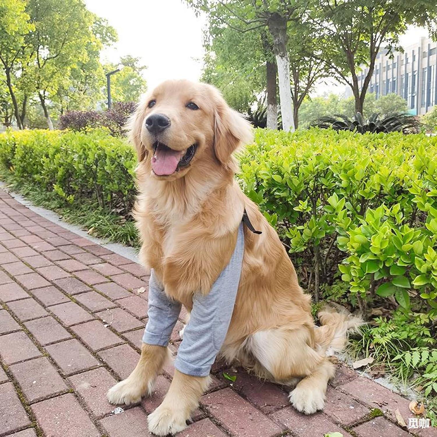 Hund Ellenbogenbandage Erholung Recovery Sleeve Vorderbeine Grau XXL