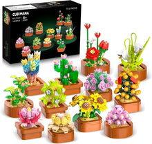 12 Blumen Sukkulenten Bausatz Mini Set 1403-teilig