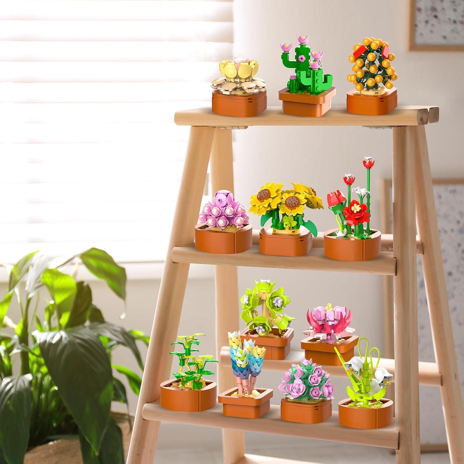 12 Sukkulenten Mini Bausätze 1403 Stück Botanisches Set Büro Heimdekor Erwachsene Kinder