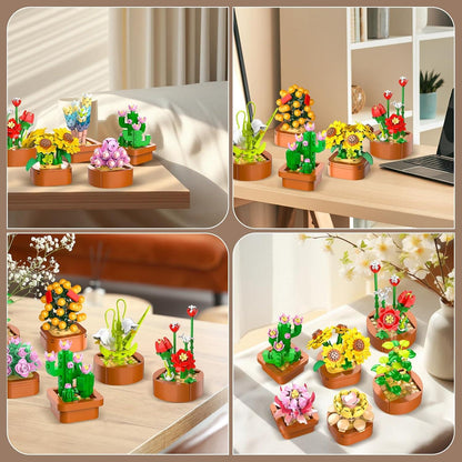 Sukkulenten Mini Bausatz 3.6MM - 1403 Stück Botanisches Set für Deko