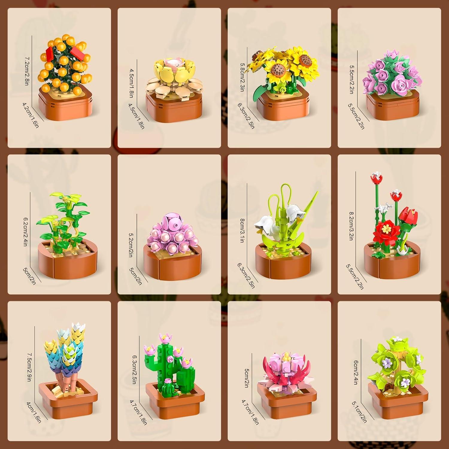 12 Sukkulenten Mini Bausätze 1403 Stück Botanisches Set Büro Heimdekor Erwachsene Kinder