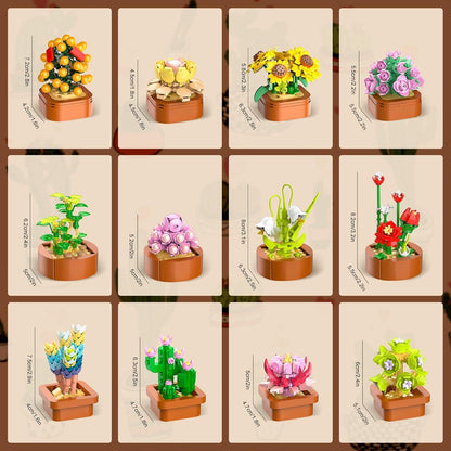12 Sukkulenten Mini Bausätze 1403 Stück Botanisches Set Büro Heimdekor Erwachsene Kinder