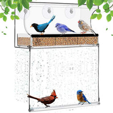 Transparentes Fensterfutterhaus mit 3 Schalen und Saugnäpfen