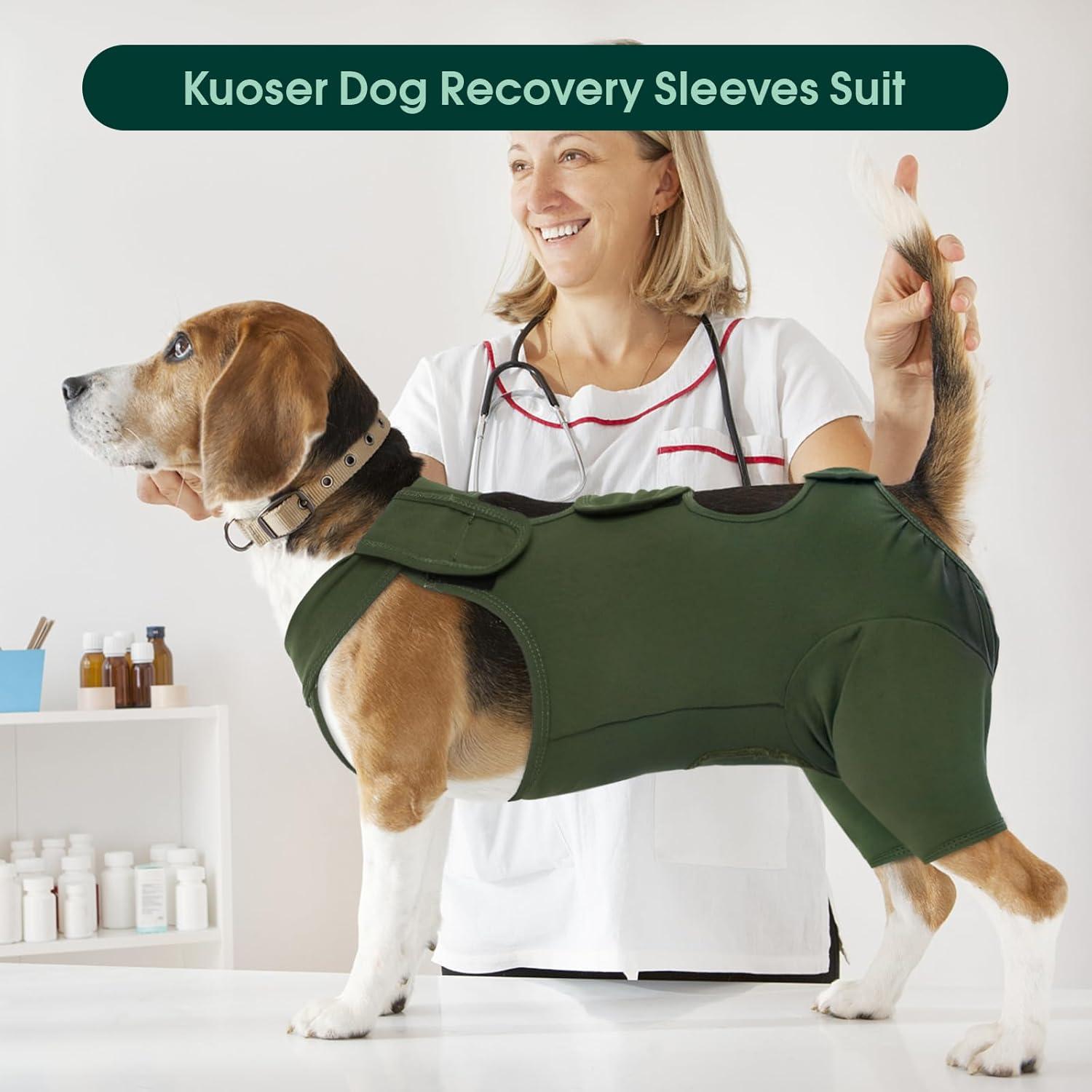 Kuoser Hundeschenkel Schutz Bodysuit, Grün M, Hund Nach Op Hundebody
