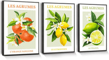 Moderne Zitrusfrüchte Bilder Mit Schwarzem Rahmen 40x60cm Set