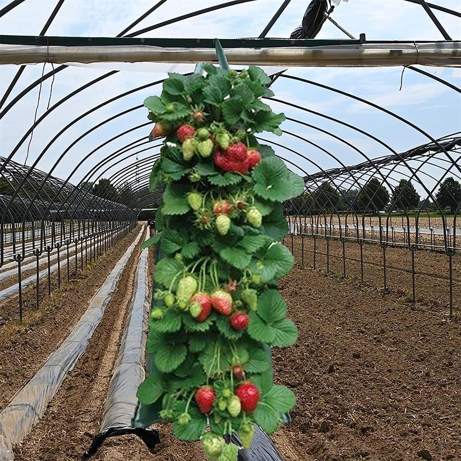 Hängender Pflanzsack für Erdbeeren und Gemüse - 2 Stück