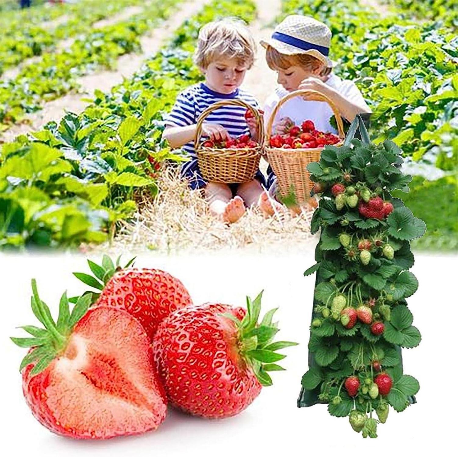 Oriental eLife Hängend Pflanzsack 2er Set für Erdbeeren Gemüse