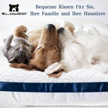 Orthopädisches Seitenschläferkissen 80x80 cm 2er Set Marineblau Premium Füllung