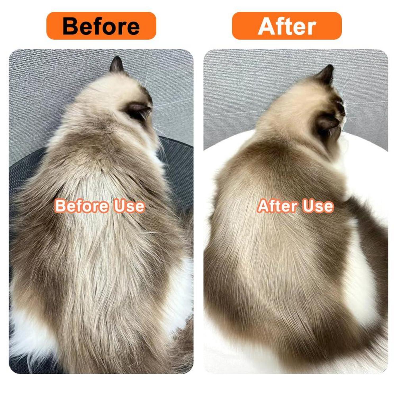 Katzenbürste Dampf 3-in-1 Massagekamm Haarentfernung Brush