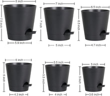 6er Pack Selbstbewässernde Blumentöpfe Set