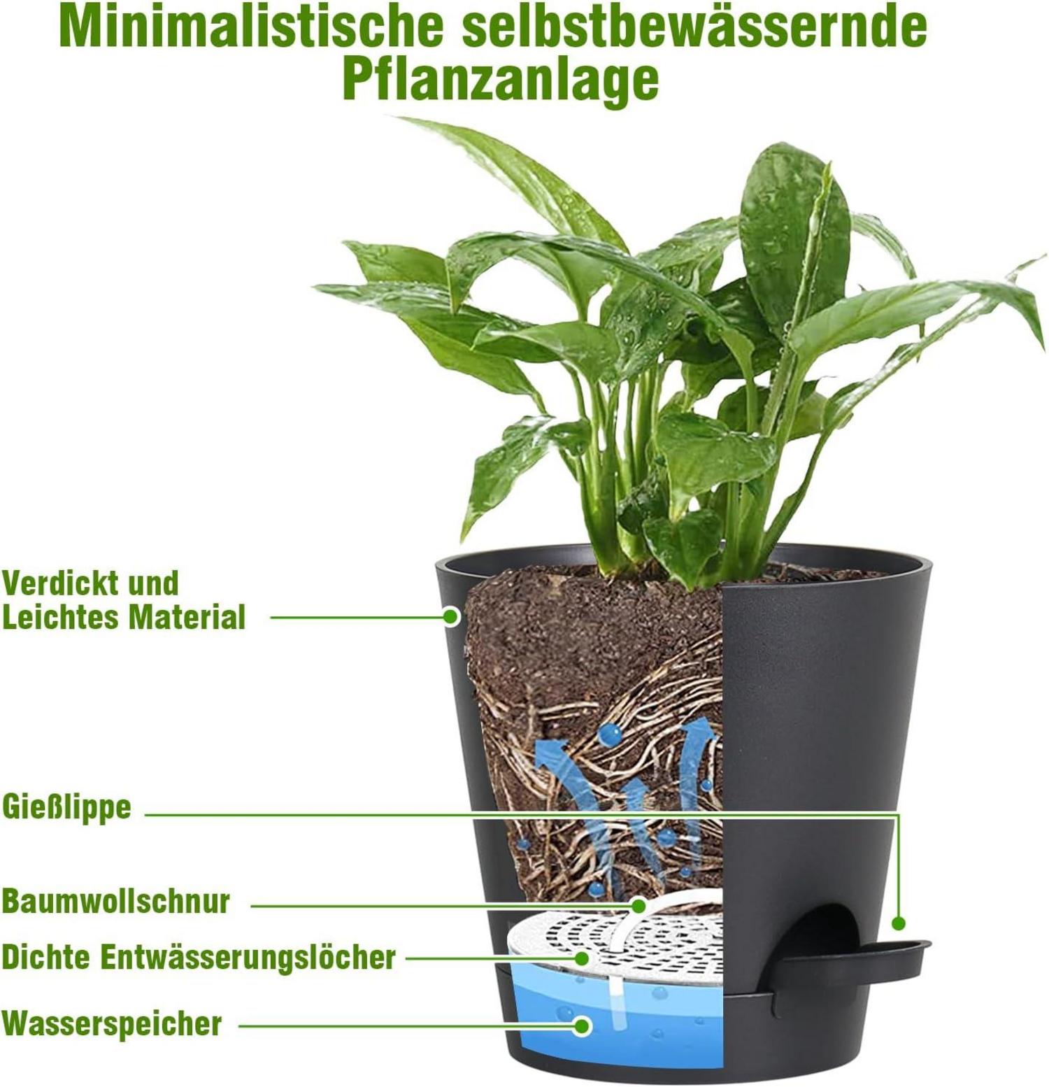 Selbstbewässernder Blumentopf Set 6 Stück 20.3-12.7cm Schwarz