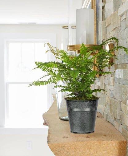 Hängende Blumentöpfe 6er Set verzinkter Stahl Pflanztöpfe für Deko, Balkon, Garten