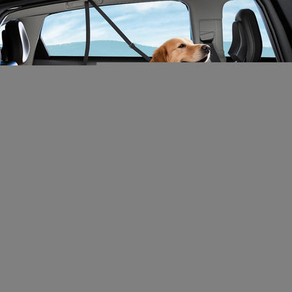 Hundedecke Auto Rückbank 4-in-1 mit Netzfenster & Aufbewahrung