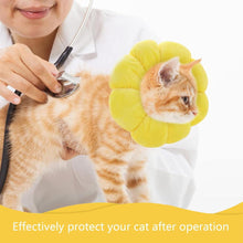 Katze Halskrause Einstellbar Nach Operation Und Verletzungen