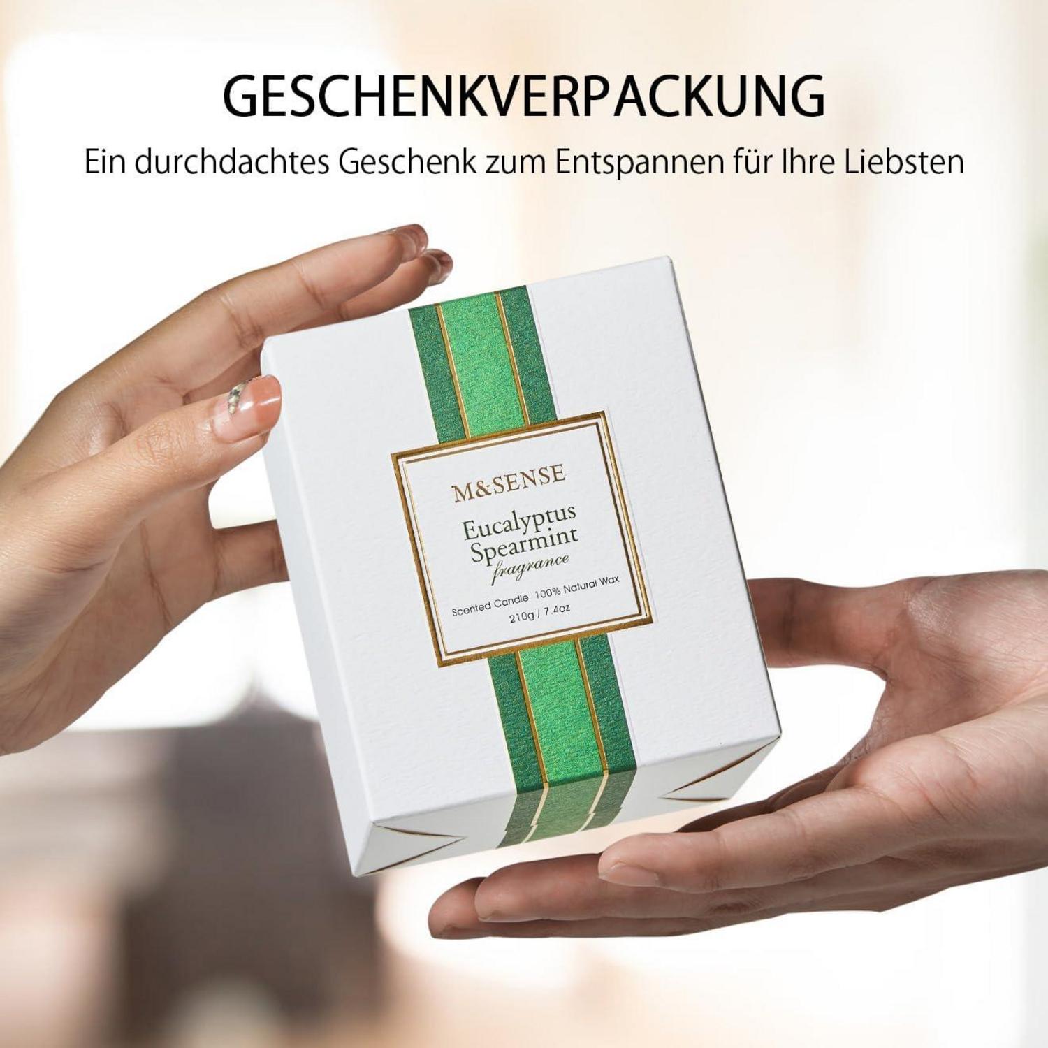 Soja-Duftkerzen Rose Beeren Leder Luxus 210g Aromatherapie Entspannung