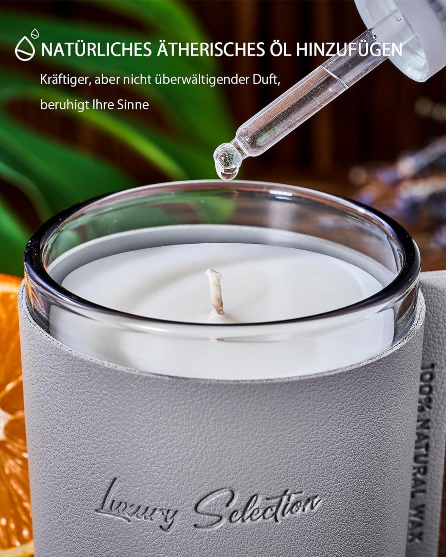 M&SENSE Natürliche Sojakerze Eukalyptus-Minze, 210g Luxuskerzengeschenk