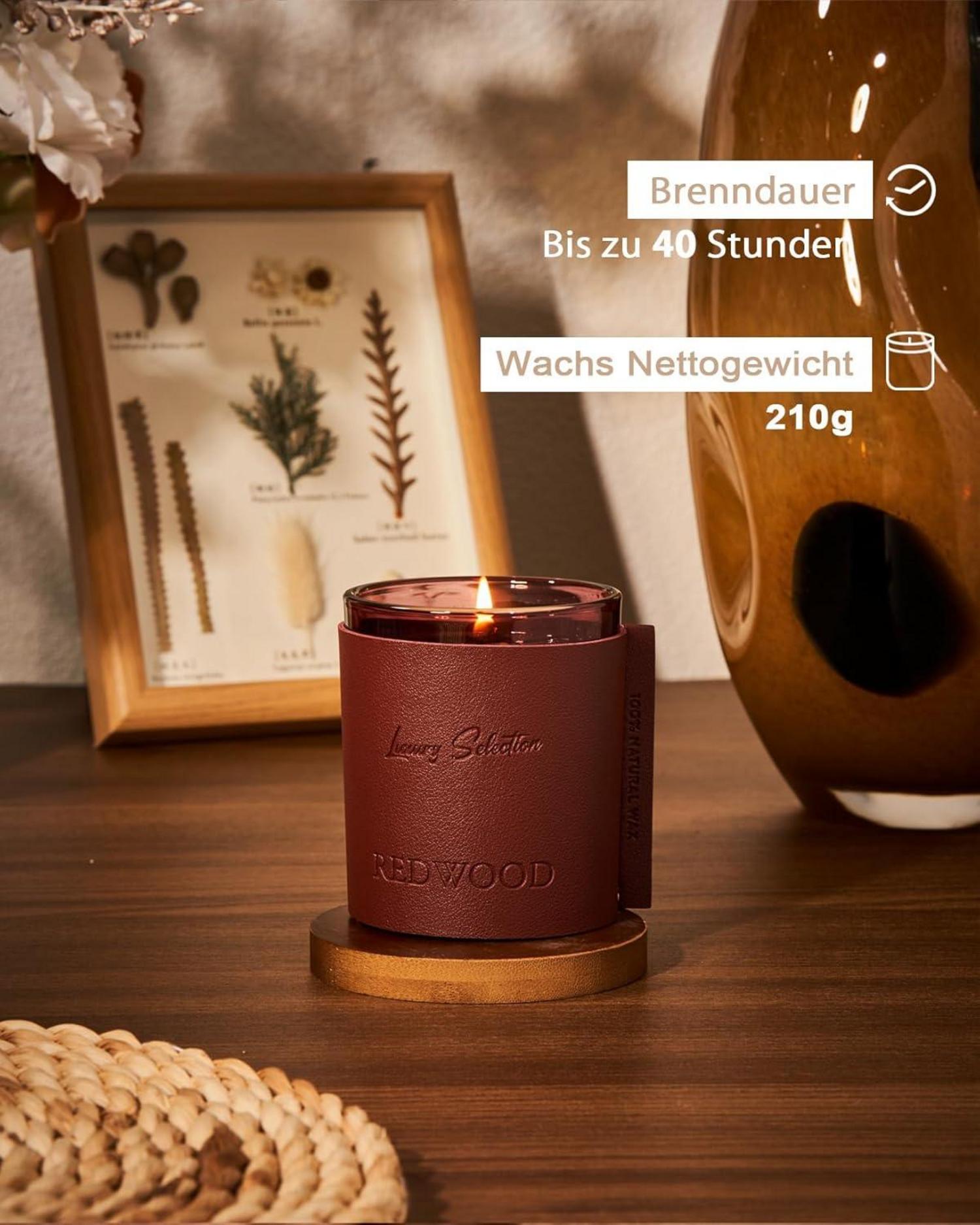 Luxury Redwood Duftkerze in Lederbox, 50 Std. Brenndauer