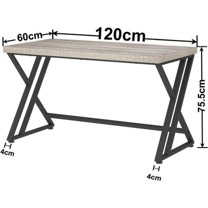 Modernes Computertisch 120 x 60 x 75.5 cm Bürotisch