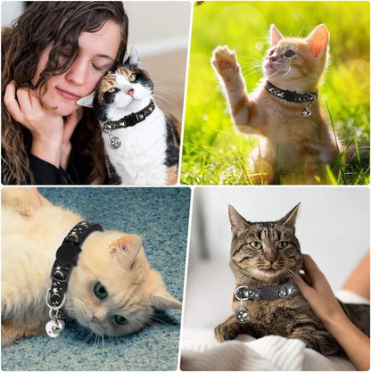 Reflektierendes Katzenhalsband 2-Stück Sicherheitsverschluss Glöckchen