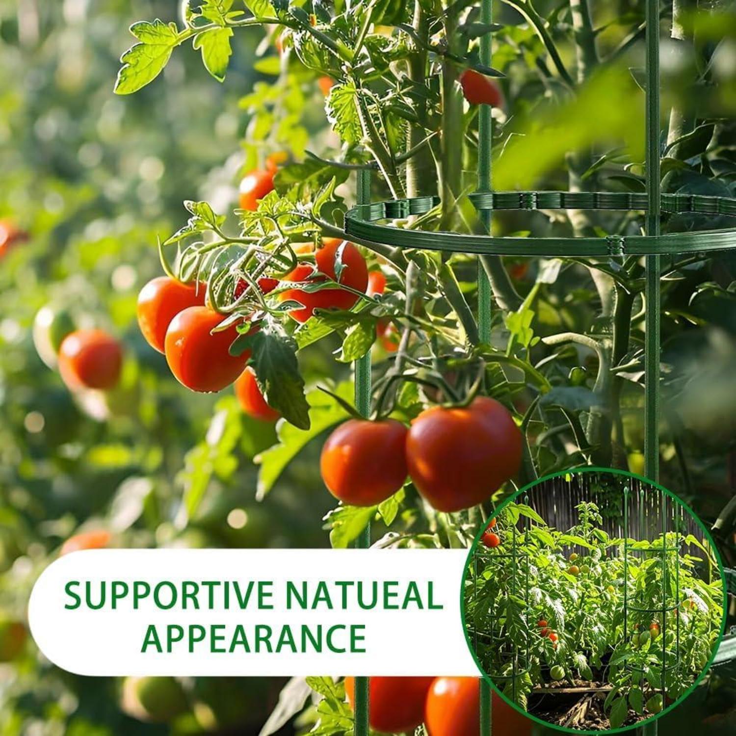 Rankhilfe für Tomaten und Gurken 141 PCS Verstellbare Höhe Pflanzenstütze